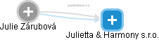  Julie Z. - Vizualizace  propojení osoby a firem v obchodním rejstříku