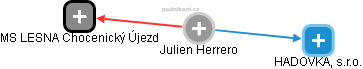 Julien H. - Vizualizace  propojení osoby a firem v obchodním rejstříku