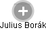 Julius Borák - Vizualizace  propojení osoby a firem v obchodním rejstříku