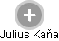 Julius Kaňa - Vizualizace  propojení osoby a firem v obchodním rejstříku