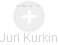 Juri Kurkin - Vizualizace  propojení osoby a firem v obchodním rejstříku
