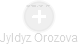 Jyldyz Orozova - Vizualizace  propojení osoby a firem v obchodním rejstříku