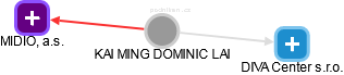 KAI MING DOMINIC LAI - Vizualizace  propojení osoby a firem v obchodním rejstříku