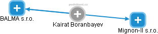 Kairat Boranbayev - Vizualizace  propojení osoby a firem v obchodním rejstříku