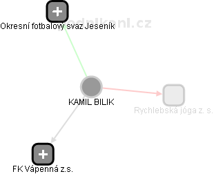 KAMIL BILIK - Vizualizace  propojení osoby a firem v obchodním rejstříku