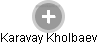 Karavay Kholbaev - Vizualizace  propojení osoby a firem v obchodním rejstříku