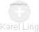 Karel Ling - Vizualizace  propojení osoby a firem v obchodním rejstříku