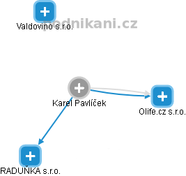 Karel Pavlíček - Vizualizace  propojení osoby a firem v obchodním rejstříku