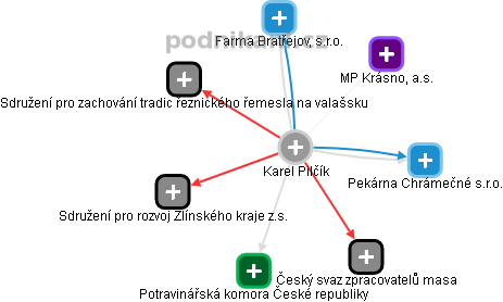 Karel Pilčík - Vizualizace  propojení osoby a firem v obchodním rejstříku