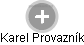  Karel Provazník - Vizualizace  propojení osoby a firem v obchodním rejstříku