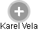 Karel Vela - Vizualizace  propojení osoby a firem v obchodním rejstříku