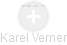 Karel Verner - Vizualizace  propojení osoby a firem v obchodním rejstříku