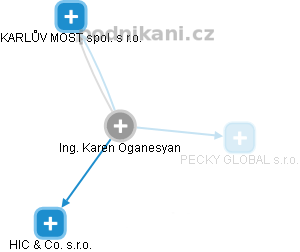 KAREN OGANESYAN - Vizualizace  propojení osoby a firem v obchodním rejstříku