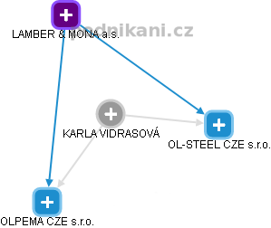 KARLA VIDRASOVÁ - Vizualizace  propojení osoby a firem v obchodním rejstříku
