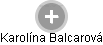 Karolína Balcarová - Vizualizace  propojení osoby a firem v obchodním rejstříku
