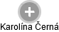 Karolína Č. - Vizualizace  propojení osoby a firem v obchodním rejstříku