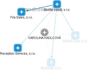  Karolina K. - Vizualizace  propojení osoby a firem v obchodním rejstříku
