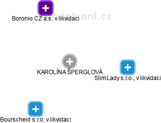 KAROLÍNA ŠPERGLOVÁ - Vizualizace  propojení osoby a firem v obchodním rejstříku