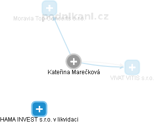 Kateřina Marečková - Vizualizace  propojení osoby a firem v obchodním rejstříku