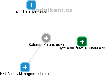 Kateřina Palenčárová - Vizualizace  propojení osoby a firem v obchodním rejstříku