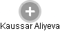 Kaussar Aliyeva - Vizualizace  propojení osoby a firem v obchodním rejstříku