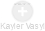 Kayler Vasyl - Vizualizace  propojení osoby a firem v obchodním rejstříku