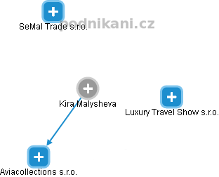 Kira Malysheva - Vizualizace  propojení osoby a firem v obchodním rejstříku