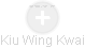 Kiu Wing Kwai - Vizualizace  propojení osoby a firem v obchodním rejstříku