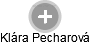 Klára Pecharová - Vizualizace  propojení osoby a firem v obchodním rejstříku