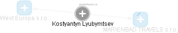 Kostyantyn Lyubymtsev - Vizualizace  propojení osoby a firem v obchodním rejstříku