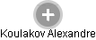 Koulakov Alexandre - Vizualizace  propojení osoby a firem v obchodním rejstříku