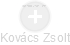  Kovács Z. - Vizualizace  propojení osoby a firem v obchodním rejstříku