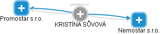  Kristína S. - Vizualizace  propojení osoby a firem v obchodním rejstříku