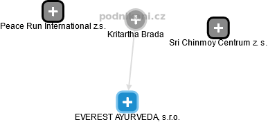 Kritartha Brada - Vizualizace  propojení osoby a firem v obchodním rejstříku