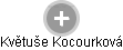 Květuše Kocourková - Vizualizace  propojení osoby a firem v obchodním rejstříku