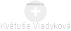 Květuše Vladyková - Vizualizace  propojení osoby a firem v obchodním rejstříku