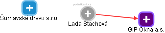 Lada Stachová - Vizualizace  propojení osoby a firem v obchodním rejstříku