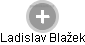  Ladislav Blažek - Vizualizace  propojení osoby a firem v obchodním rejstříku