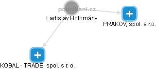 Ladislav Holomány - Vizualizace  propojení osoby a firem v obchodním rejstříku