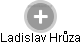  Ladislav Hrůza - Vizualizace  propojení osoby a firem v obchodním rejstříku