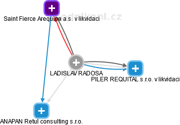 LADISLAV RADOSA - Vizualizace  propojení osoby a firem v obchodním rejstříku