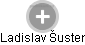  Ladislav Šuster - Vizualizace  propojení osoby a firem v obchodním rejstříku