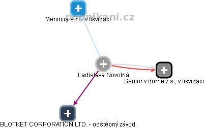  Ladislava N. - Vizualizace  propojení osoby a firem v obchodním rejstříku