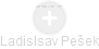 Ladislsav Pešek - Vizualizace  propojení osoby a firem v obchodním rejstříku