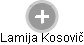Lamija Kosovič - Vizualizace  propojení osoby a firem v obchodním rejstříku