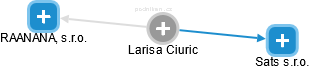 Larisa Ciuric - Vizualizace  propojení osoby a firem v obchodním rejstříku