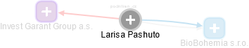 Larisa Pashuto - Vizualizace  propojení osoby a firem v obchodním rejstříku