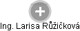  Larisa R. - Vizualizace  propojení osoby a firem v obchodním rejstříku