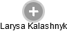 Larysa Kalashnyk - Vizualizace  propojení osoby a firem v obchodním rejstříku