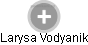 Larysa Vodyanik - Vizualizace  propojení osoby a firem v obchodním rejstříku
